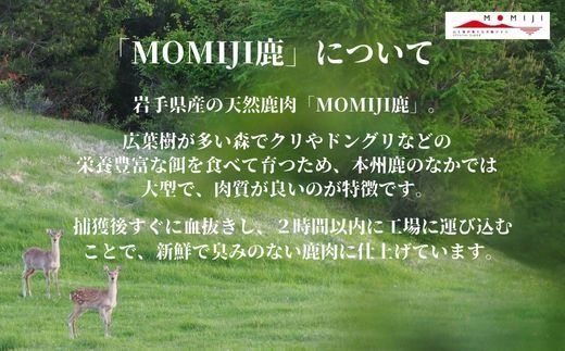 【大槌鹿のコク旨シチュー】缶詰 4缶 セット ジビエ 鹿肉 シチュー お取り寄せ グルメ おつまみ 無添加 ギフト ギフトセット 高級 贈答 贈物 贈り物 贅沢 詰め込わせ 加工食品 常温保存 岩手 大槌 MOMIJI【0tsuchi00688】