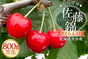 【2027年産 先行予約】＜北海道余市産＞さくらんぼ「佐藤錦」（M～2Lサイズバラ詰め）400g×2パック さくらんぼ 佐藤錦 サクランボ 人気さくらんぼ 佐藤錦 さくらんぼ_Y103-0070