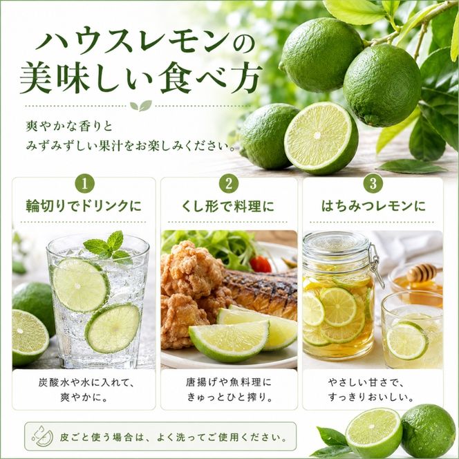 【 小豆島 】小豆島ハウスレモン 約2kg 果物類 フルーツ 柑橘類 檸檬 