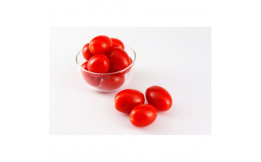 【先行予約】あまいこトマト 約1kg <2027年1月〜発送> / トマト ミニトマト フルーツトマト 糖度7～8度 高知県産 アイコ アイコトマト 健康 酸味控えめ 美味しい【池トマト】[BQAG025]