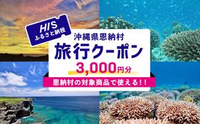 【沖縄県恩納村】HISふるさと納税旅行クーポン 3,000円分