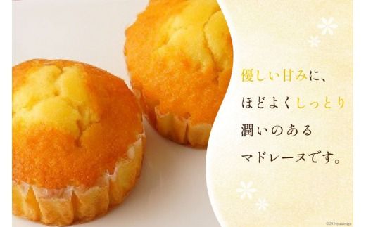 【TVで紹介！】 菓子 お山のマドレーヌ 20個入り [オーイング・K 宮城県 南三陸町 m304amh790007] お菓子 マドレーヌ 洋菓子 焼き菓子 おかし おやつ スイーツ デザート 焼菓子 手土産 個包装