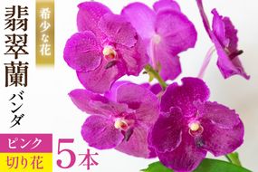 AI175 希少な花「華やかな恋」の予感 翡翠蘭(バンダ) 切り花 5本 セット ピンク [ 植物 花 ガーデン 希少 インテリア かわいい 個性的 北尾洋蘭園 長崎県 島原市 ]