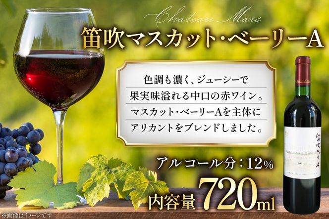 ワイン ソムリエセレクト 赤ワイン 4本 セット [本坊酒造 マルス穂坂ワイナリー 山梨県 韮崎市 20743505] 果実酒 ワインセット赤 飲み比べ シャトーマルス ソムリエ 山梨 