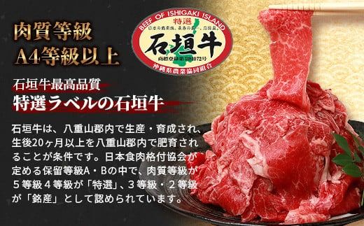 石垣牛 切り落とし スライス (300g×2パック) 600g【 沖縄県 石垣市 石垣島 石垣牛 牛肉 牛 切り落とし スライス 高級 黒毛和牛 和牛 】AB-24-1