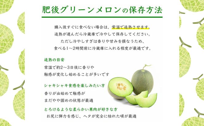 【先行予約】 熊本県八代市産 肥後グリーンメロン 4L以上 2玉 約4kg 果物 くだもの フルーツ 肥後グリーン メロン 青肉メロン 【2026年5月上旬より順次発送】