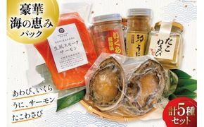 海鮮 詰め合わせ 豪華・海の恵みパック 5種×各1 [たみこの海パック 宮城県 南三陸町 30ae0024] 魚介類 アワビ 鮑 イクラ ウニ 雲丹 高級 希少 セット パック 冷凍