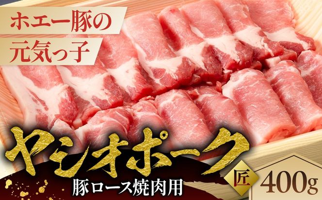 ns145-005 ヤシオポーク匠豚ロース焼き肉用400g
