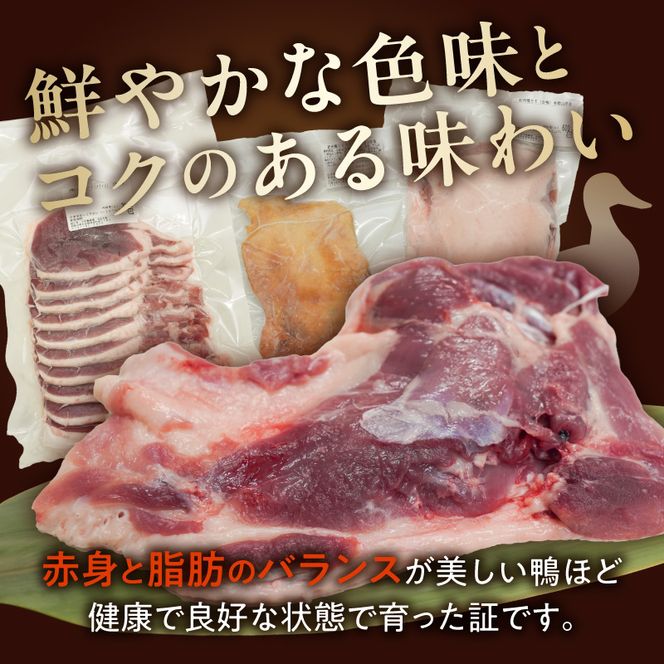 紀州鴨セット（ローススライス300g モモスライス300g つくね200g）※到着希望日（時期）指定不可_AK6006n