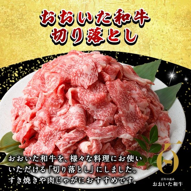 おおいた和牛 切り落とし (計1kg ・500g×2P) 国産 牛肉 肉 霜降り A4 A5 黒毛和牛 すき焼き しゃぶしゃぶ 焼肉 和牛 豊後牛 ブランド牛 冷凍【HE01】【(株)吉野】