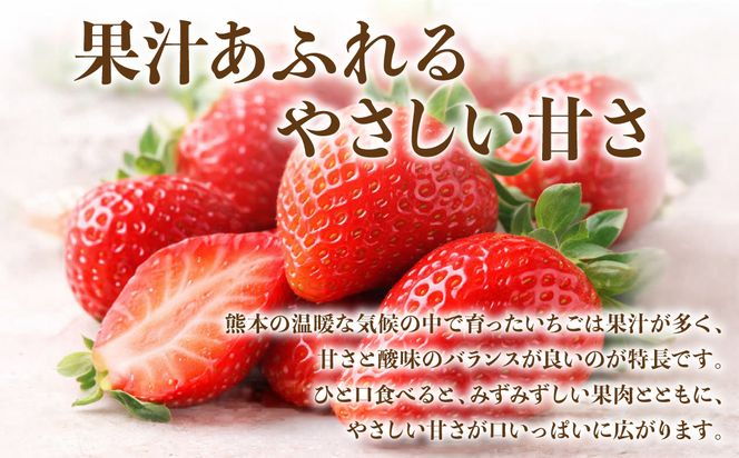 【先行予約】 いちご 約2kg（約250g×8パック） イチゴ 苺 果物 くだもの フルーツ 旬 ジャム スムージー スイーツ 熊本県 八代市 【2027年1月上旬より順次発送】