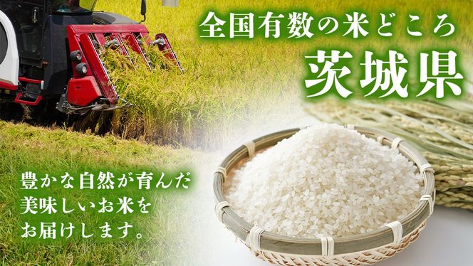 【 2月下旬発送 / 数量限定 】新米 茨城県産 コシヒカリ 精米 10kg (5kg×2袋） 令和6年産 こしひかり 米 コメ こめ 単一米 限定 茨城県産 国産 美味しい お米 おこめ おコメ [CL34-NT]