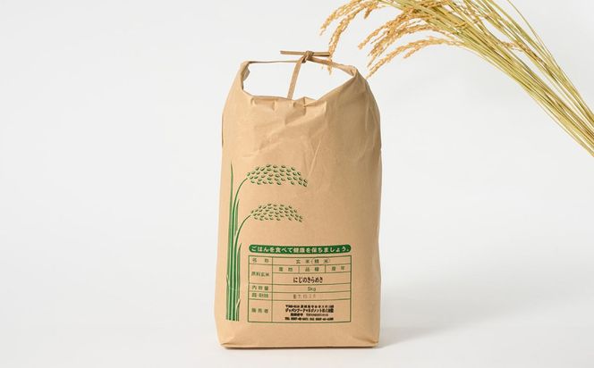 【先行予約】【令和8年産】茨城県産にじのきらめき 5kg ※2026年10月～発送 | 米 お米 おこめ コメ 白米 精米 ご飯 ごはん にじのきらめき 茨城県 守谷市