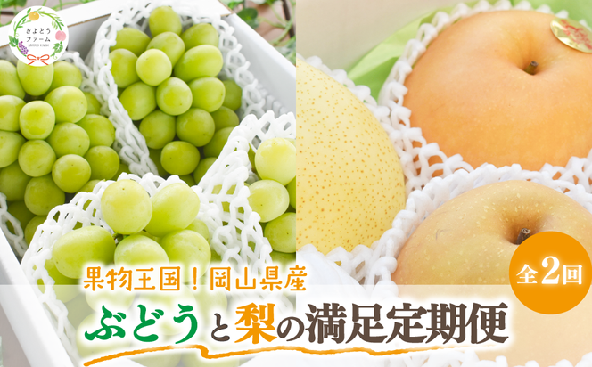 【2026年先行予約】シャインマスカットと梨詰め合わせ2-3種が届く！ぶどうと梨の満足定期便(岡山県産)【KF-T054-03】