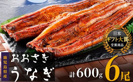 【数量限定】鹿児島県産うなぎ長蒲焼6尾　 (合計600g以上) 464686_A920