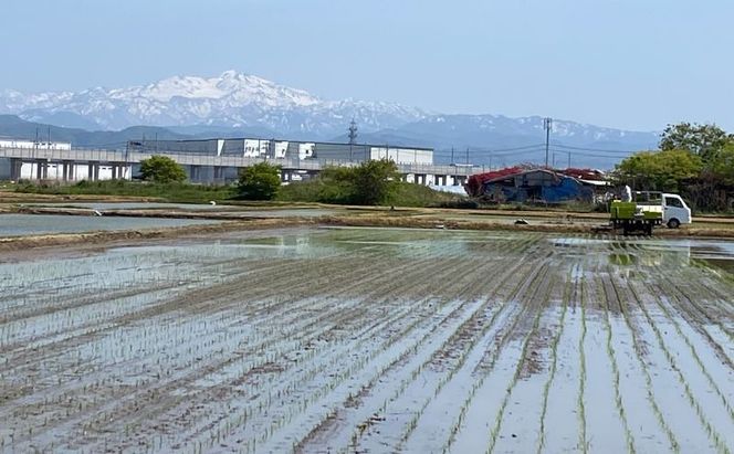 北本農場 こだわりのお米 令和7年産 石川県 にこまる米 白米5kg