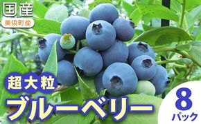 国産(美浜町産)超大粒ブルーベリー 『8パック入り』　※2026年5月上旬～7月上旬頃に順次発送予定