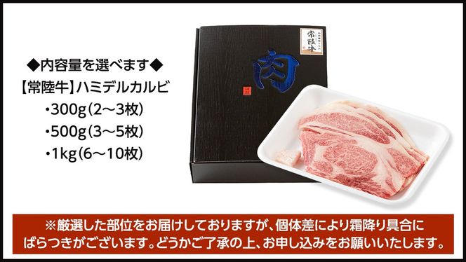 ＼ 選べる 内容量 ＆ スピード発送 ／【 常陸牛 】A5 等級 ハミデルカルビ 300g 500g 1kg ひたちぎゅう ブランド牛 カルビ 国産牛 黒毛和牛 和牛 国産黒毛和牛 お肉 A5ランク 高級 BBQ パーティ (茨城県共通返礼品)