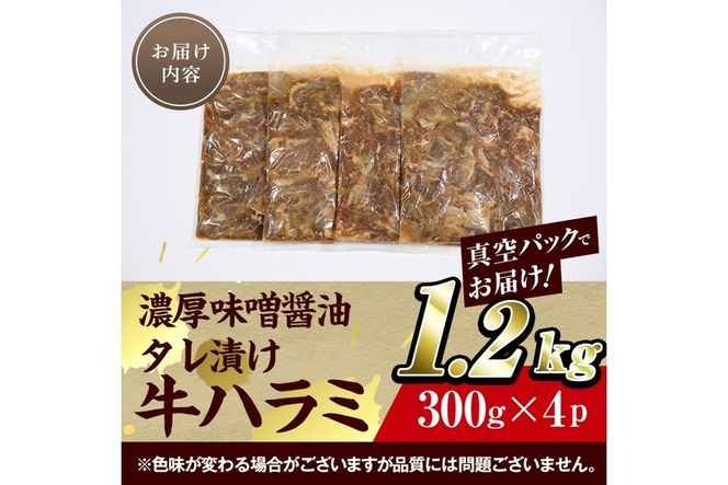 濃厚味噌醤油 タレ漬け牛ハラミ(サガリ)肉 小分け 個包装で便利！ (合計1.2kg・300g×4p) 牛肉 焼くだけ 簡単 焼肉 焼き肉 やきにく 厚切り 肉厚 冷凍 BBQ 希少部位 【BD300】【西日本畜産 (株)】