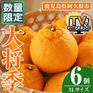 ＜先行予約受付中！2027年1月中旬以降順次発送予定＞数量限定！大将季 (6個・3Lサイズ) 柑橘 フルーツ 果物 国産 みかん 期間限定 不知火 しらぬい シラヌイ ミカン 【株式会社土曜日】akn069-07