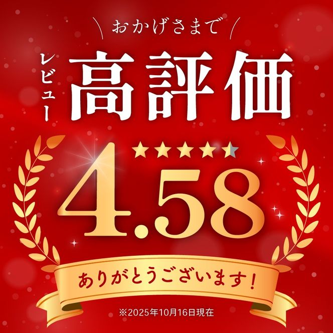 【年内配送　年内発送　北海道】すじこ 訳あり 北海道 紅鮭 筋子 醤油 漬け 500g (250g×2個入） 加藤水産 ひとくちカット 不揃い 小分け 海鮮 海産物 魚介類 魚卵 鮭 いくら イクラ 訳アリ   おせち R002-004