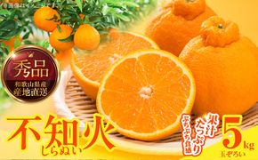 MK1013_不知火 (しらぬい) 秀品 玉ぞろい 箱込 5kg (内容量約4.4kg) 