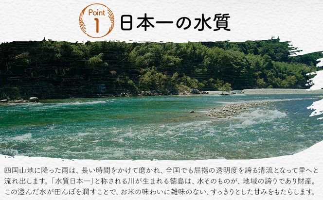 ★先行予約★白米 徳島ふるさと応援米 選べる 5kg 10kg 20kg《2026年11月以降順次出荷》 生活応援企画 米 精米 送料無料 徳島県 佐那河内村 白米 ブレンド米 こめ コメ お米---sanagouchi_lcl_90_5kg---