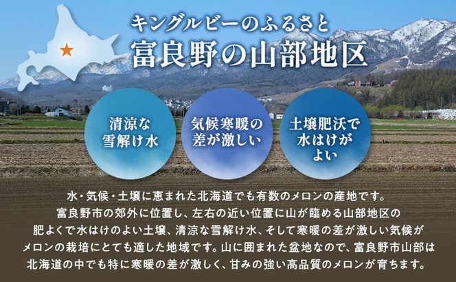 【2026年夏発送】富良野産 赤肉メロン 大玉 2玉（計4kg以上）[近藤農園] メロン フルーツ 果物 新鮮 甘い 贈り物 ギフト 道産 ジューシー おやつ ふらの ブランド 夏 北海道 富良野市