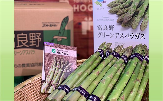 【2026年春発送】富良野産 グリーンアスパラ Lサイズ 約1.5kg アスパラ 野菜 アスパラガス