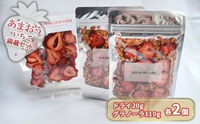 ドライフルーツ グラノーラ セット あまおうドライ 20g×2＋いちごいちごいちごあまおうグラノーラ 2パック セット 加工食品 砂糖不使用 シリアル 朝食 朝ごはん 小腹 特別栽培 
