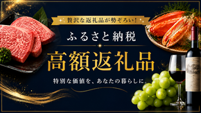 【2026年最新版】ふるさと納税でもらえる「高額返礼品」！金の返礼品も！