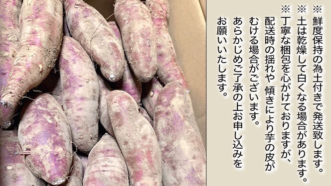 【 2025年10月下旬以降発送 】 訳あり 茨城 八千代町産 さつまいも すずほっくり 土付き 無選別 生芋 約 10kg 農家直送 熟成 イモ 芋 いも おやつ デザート 秋 [AX036ya]