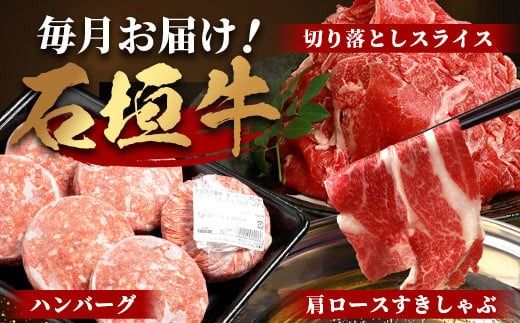 【全3回 定期便C】 石垣牛　切り落としスライス・ハンバーグ・肩ロースすきしゃぶ　計3.1kg（いしなぎ屋）【 特選肉 肉 高級 黒毛和牛 和牛 牛 】AB-31