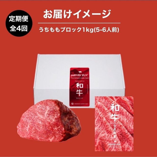 WAGYU PROTEIN 定期便 4回分《 牛肉 お肉 肉 高タンパク 赤身肉 うちもも肉 ローストビーフ ステーキ おすすめ ギフト 贈答 プレゼント 定期便 》【2415A11505】