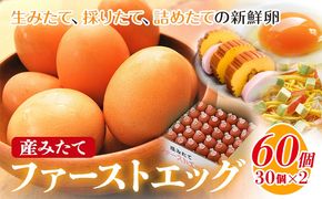 卵 たまご 赤玉 ファーストエッグ 60個《90日以内に出荷予定(土日祝除く)》株式会社めぐみ 岡山県 浅口市 送料無料 30個 × 2セット 食卓 産みたて 初卵 希少---124_86_90d_23_16500_s---