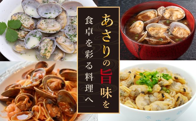 3ヵ月 定期便 あさり 簡単 お手軽 北海道 厚岸産 天然 ブランチング加工 3D 冷凍 大あさり 500g ×5パック 貝 海鮮 魚介類