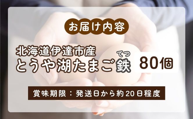 北海道 伊達市 とうや湖 卵 鉄  80個 入り たまご