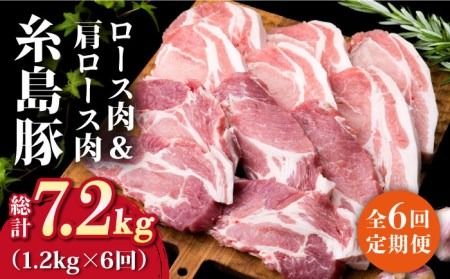 【全6回定期便】糸島豚ロース肉6枚 肩ロースカツ5枚 合計11枚セット《糸島》【糸島ミートデリ工房】 [ACA230]