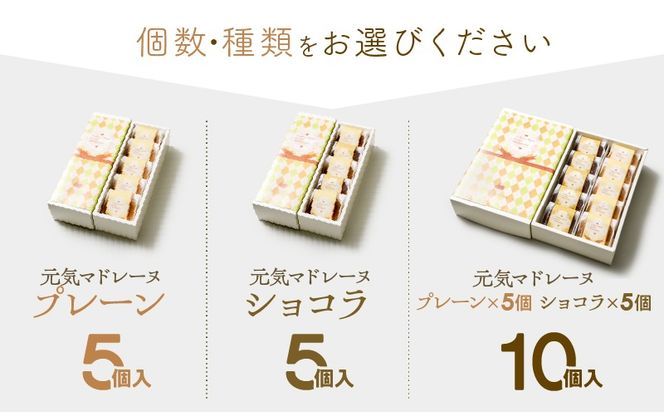 【5営業日以内に発送】＜選べる！＞元気マドレーヌ　K300-005
