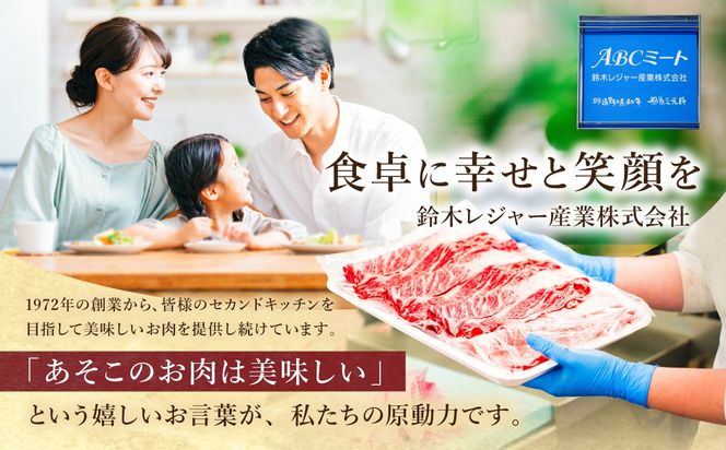 ns004-009 低糖質・無添加（保存料・酸化防止剤）ヘルシーハンバーグ