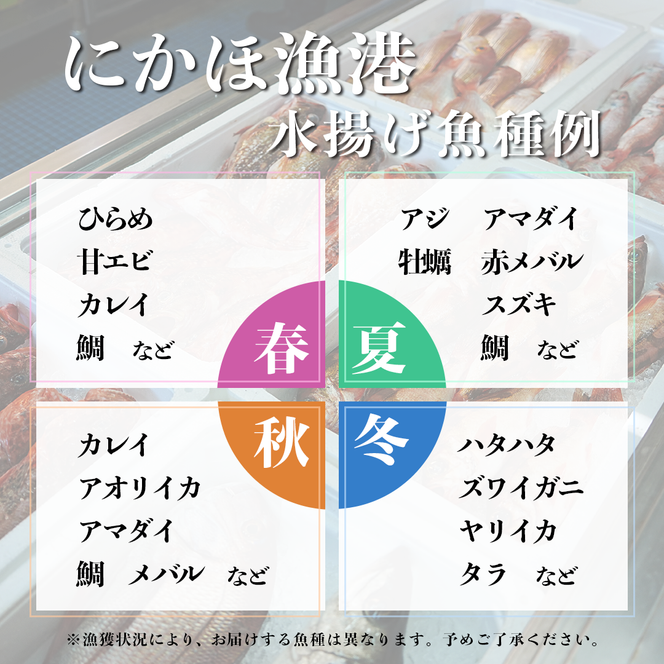 鮮魚 冷蔵 クール便「 開けたらすぐ食べられる下処理済み 海産物 2～3人前 セット 」佐藤鮮魚店【 パック 詰め合わせ 海鮮セット 鮮魚ボックス 海鮮 海の幸 魚介 魚介類 刺身 切り身  秋田県 にかほ 】