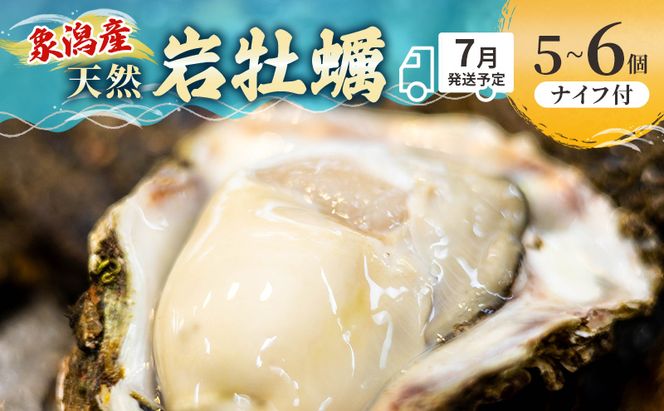 【 先行予約 7月上旬～下旬発送予定】象潟産 天然岩牡蠣 5～6個 ナイフ付【 牡蠣 夏牡蠣 かき 象潟 生食可 魚介類  海鮮 海産物 海の幸 】
