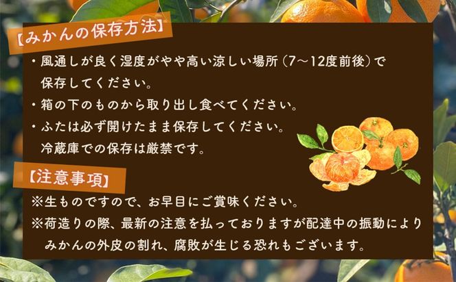 和歌山県産 有田みかん 家庭用　3kg　味重視   	BA47