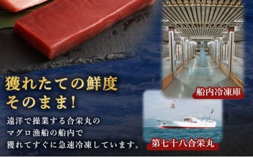 厳選天然本マグロ　大トロたっぷり500g 父の日 柵 ブロック