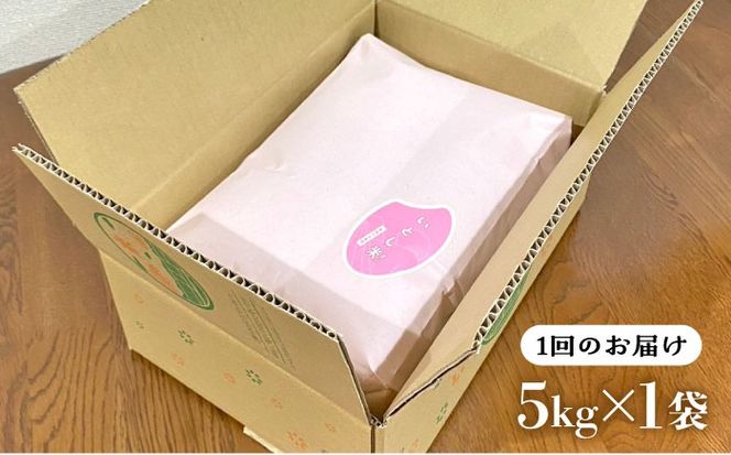 【全3回定期便】いとし米 厳選夢つくし 5kg×3回 (糸島産) 糸島市 / 三島商店 [AIM021] 米 お米 ご飯 白米 夢つくし ゆめつくし ヒノヒカリ ひのひかり 九州 福岡