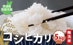 【令和7年産】【無洗米】コシヒカリ5kg 茨城県常総市産 精米｜米 お米 白米 ご飯 コメ こめ こしひかり
