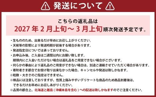 【訳あり】完熟あまおう 4パック 約275g×4パック 合計約1.1kg 【2027年2月上旬～3月上旬までに出荷予定】いちご 苺 イチゴ ベリー 果物 フルーツ お取り寄せ デザート おやつ