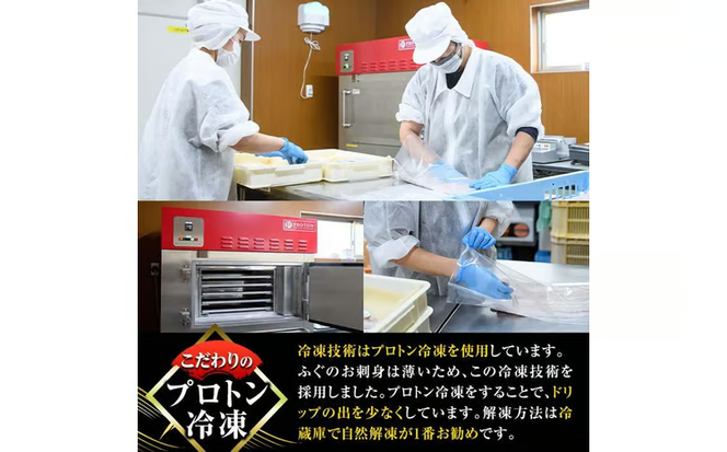 ＜訳あり＞ 生簀直送 とらふぐ 刺し身 セット (刺し身×3皿・ヒレ×10g) 魚 ふぐ 河豚 刺身 さしみ 小分け 冷凍 瞬間凍結 佐伯 養殖 国産 【EA34】【トーワ】