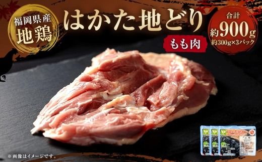 はかた地どり もも肉 計900g （ 小分け ・ 300g × 3パック ） お肉 肉 ニク にく 鶏肉 鶏 地どり 地鶏 もも モモ 国産 福岡県産 九州産 ブランド鶏 個包装 旨味 冷凍
