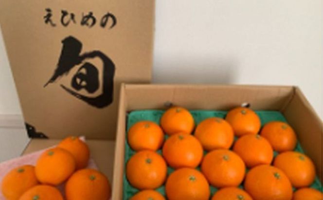 yQɕzys\zyʌz__^QY 28iIj 3kg×1i2025N12{菇j IKTV004